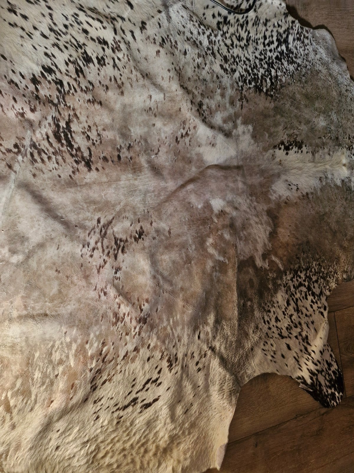 Grote Koeienhuid Vloerkleed - Beige/Bruin Gevlekt, Ophalen, Gebruikt, Overige vormen, 150 tot 200 cm