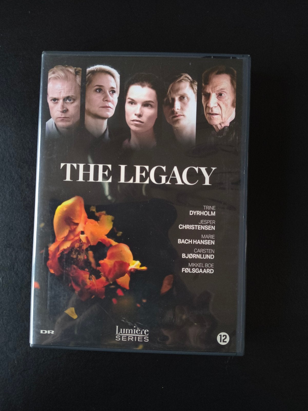 The Legacy - Complete Serie (DVD Boxset), Nederlands, Ophalen of Verzenden, Zo goed als nieuw, Vanaf 12 jaar