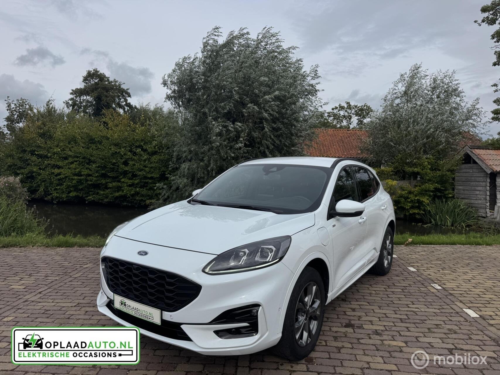 Ford Kuga 2.5 PHEV ST-Line X | Head-up | ACC | Elek. stoelen, Auto's, Gebruikt, 4 cilinders, Met garantie (alle), Wit