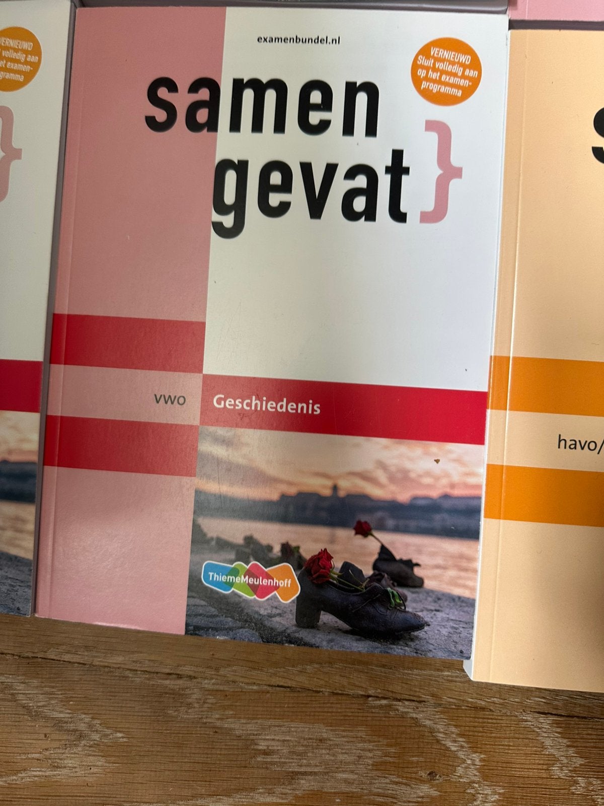 Samengevat vwo, Boeken, Ophalen of Verzenden, Zo goed als nieuw, VWO, Overige vakken