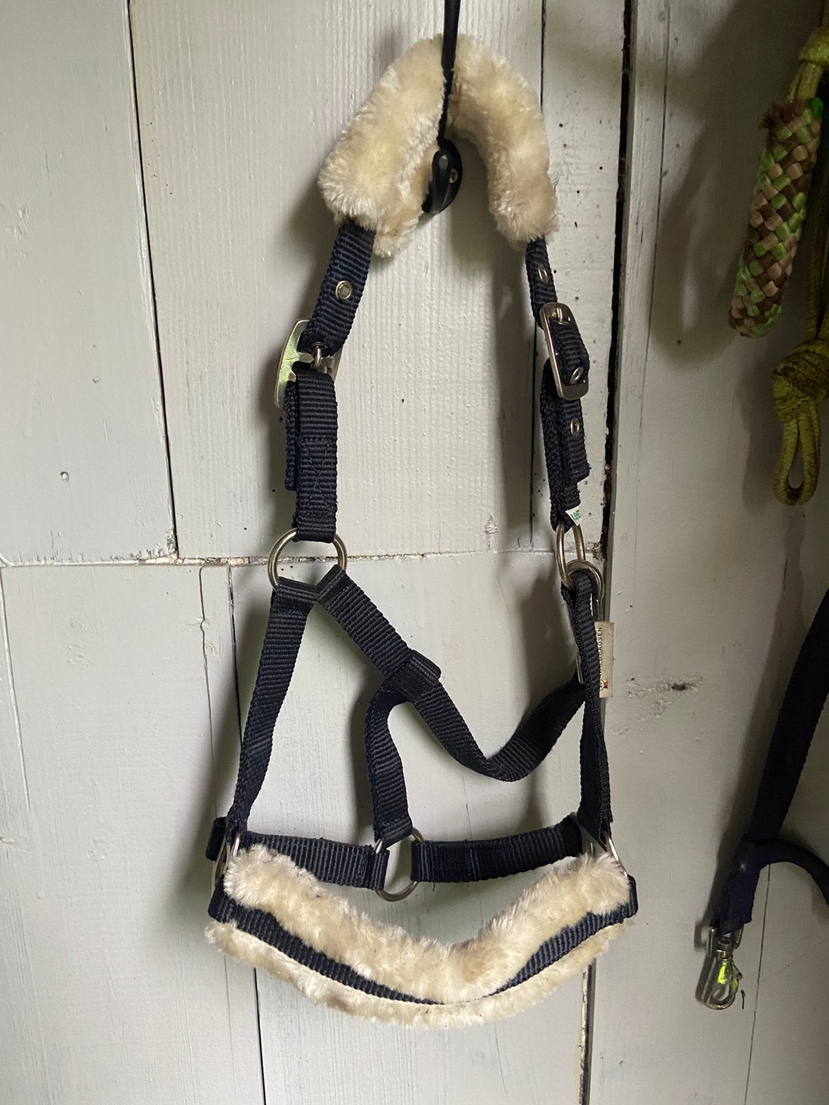 Halster bont mini shet, Dieren en Toebehoren, Ophalen, Mini, Blauw, Halster