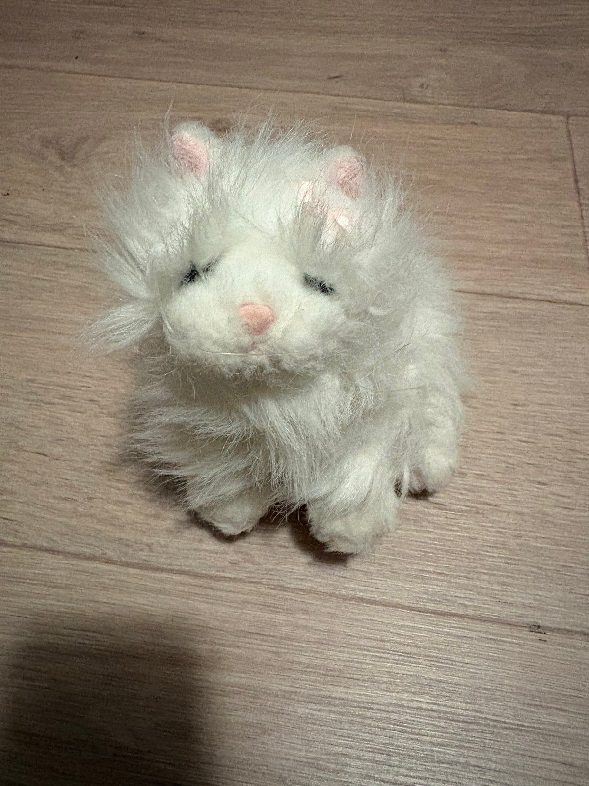 Ganz Webkinz Perzische kat met roze strik en labels, Gebruikt, Overige merken, Overige karakters, Ophalen of Verzenden