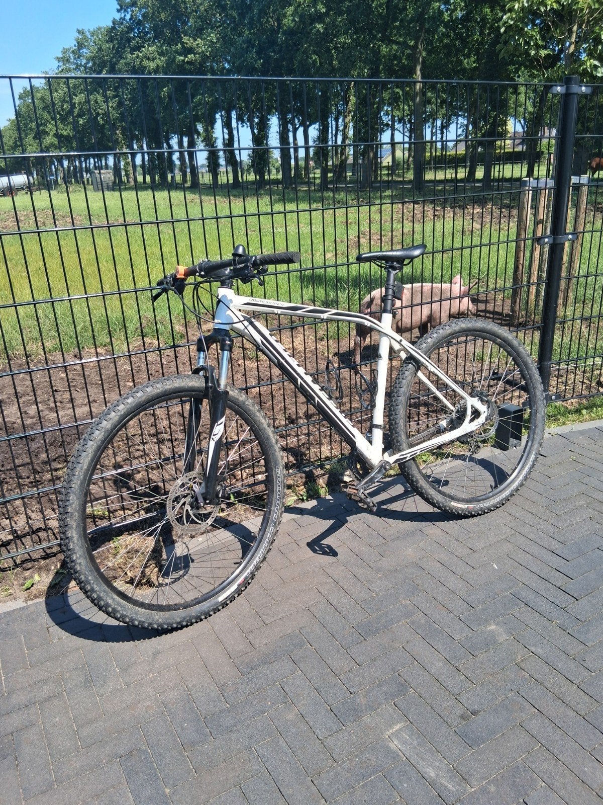 Specialized mountainbike, Fietsen en Brommers, Fietsen | Mountainbikes en ATB, Gebruikt, Hardtail, Schijfrem, Ophalen
