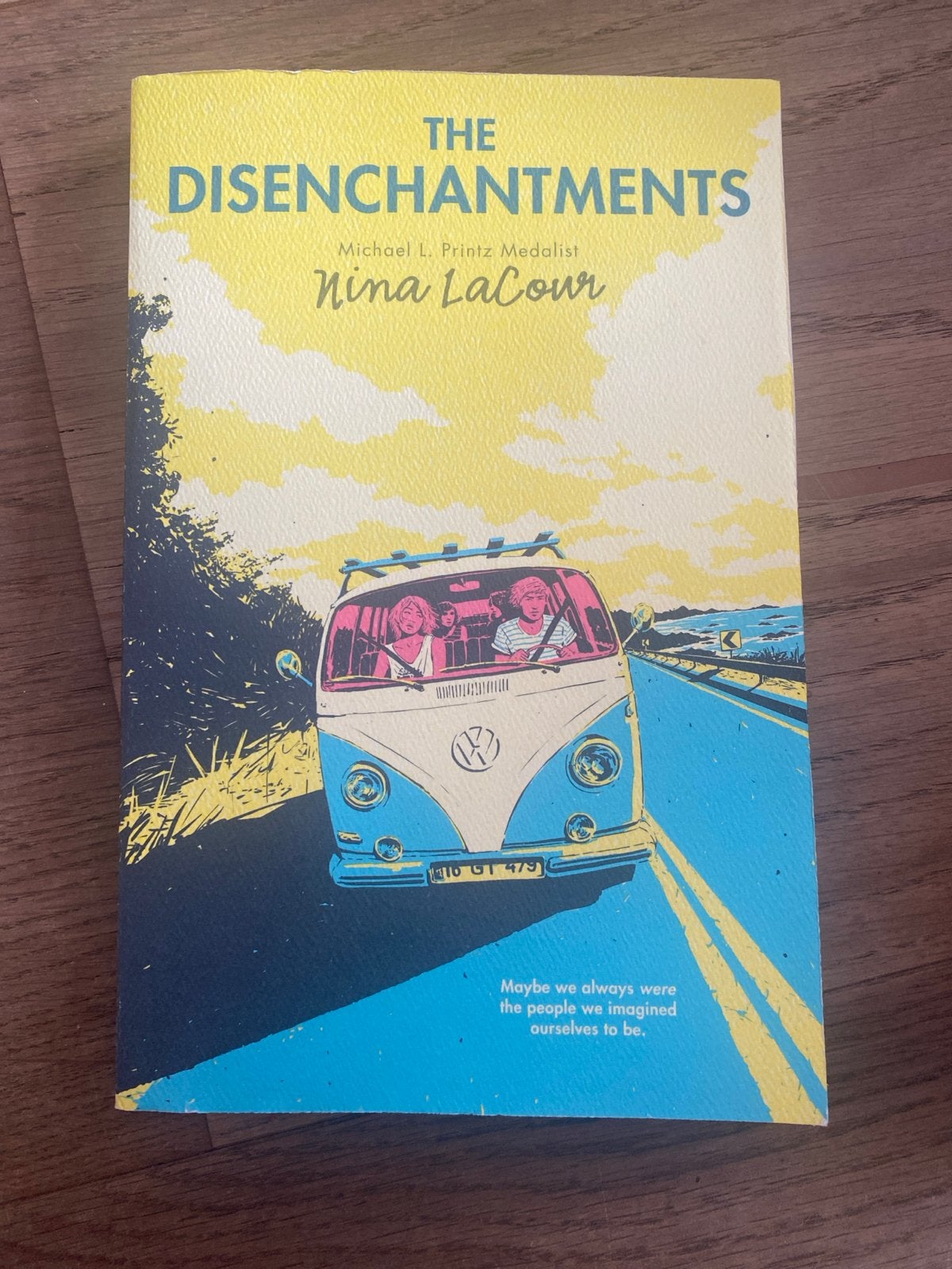 The Disenchantments - Nina LaCour (Engels), Ophalen of Verzenden, Zo goed als nieuw, Amerika