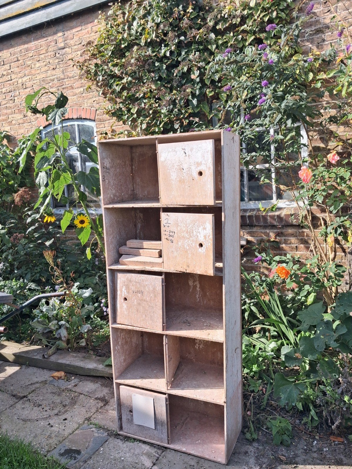 duiven broed kist, Dieren en Toebehoren
