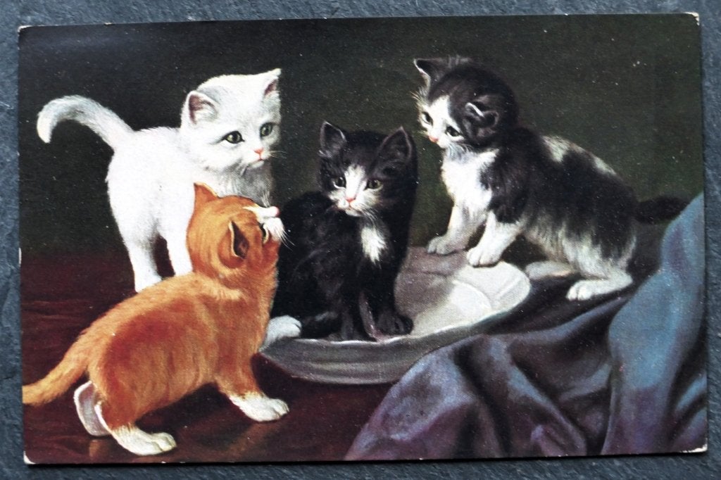 Vier poezen en een lege melkschaal, 1932, Verzenden, 1920 tot 1940, Gelopen, Hond of Kat