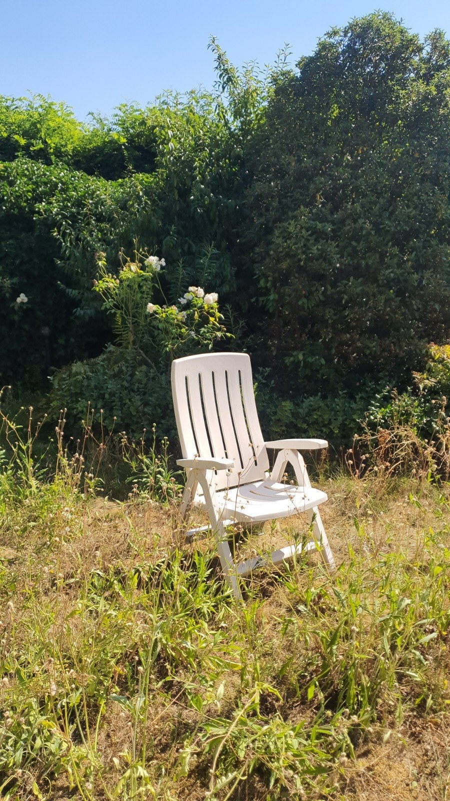 2 verstelbare tuinstoelen en 1 ligbed - gratis af te halen, Tuin en Terras, Ophalen, Zo goed als nieuw, Kunststof, Verstelbaar