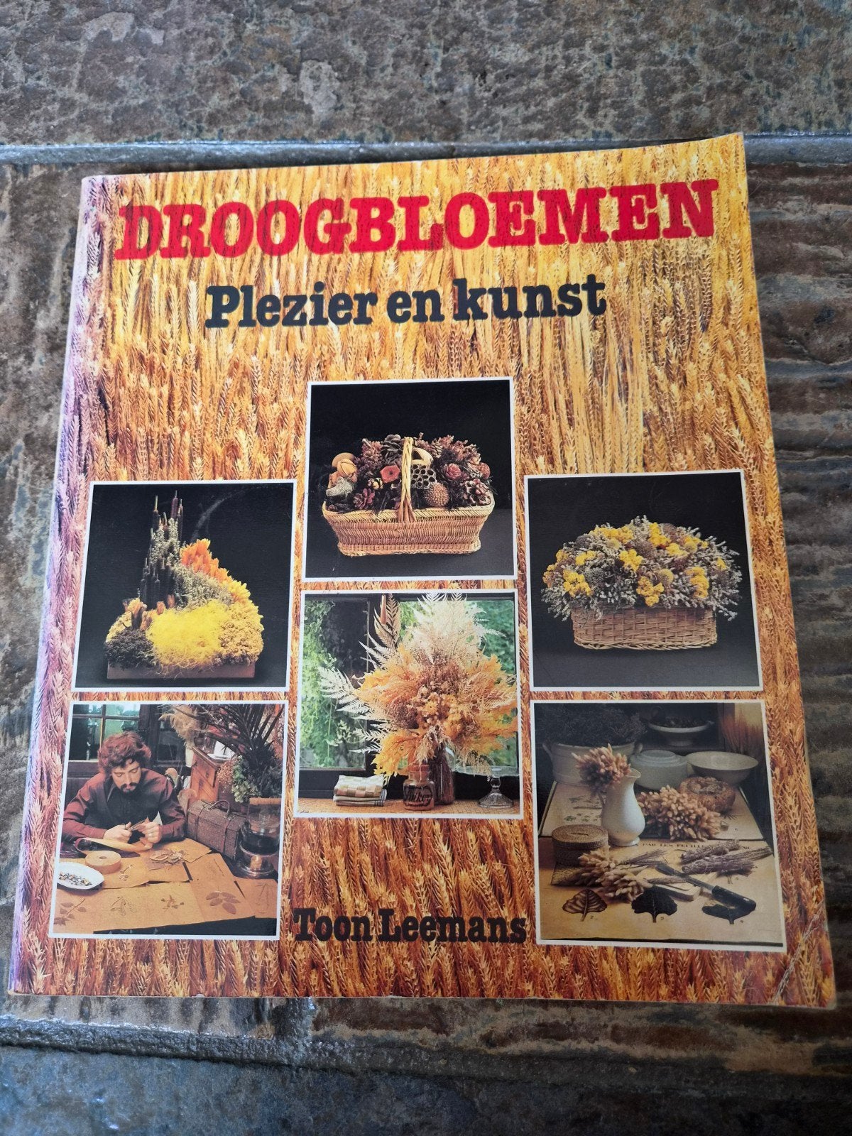 Droogbloemen: Plezier en kunst - Toon Leemans, Ophalen of Verzenden, Gelezen, Overige onderwerpen, Toon Leemans
