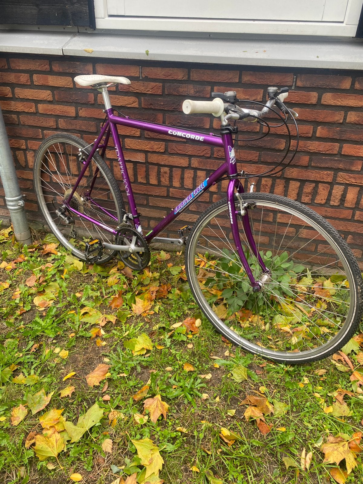 American eagle citybike, Gebruikt, Overige maten, 15 tot 20 versnellingen, Ophalen