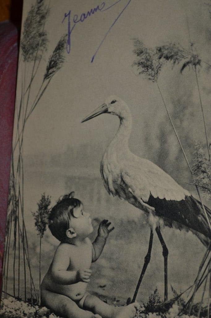frankrijk 1904 baby met ooievaar, Ophalen of Verzenden, Voor 1920, Gelopen, Sterren en Beroemdheden
