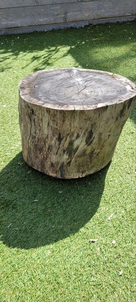 Houten boomstam op wielen, Ophalen, Nieuw, Hout, Overige typen