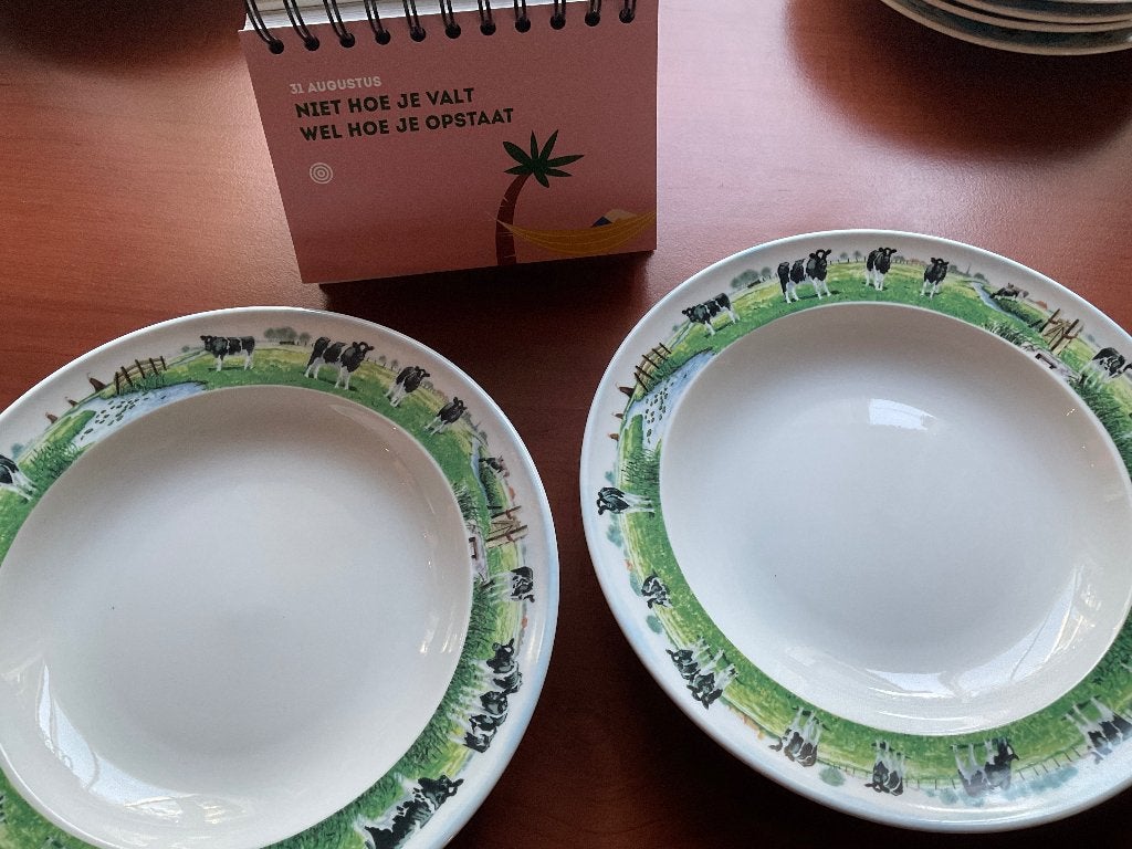 2 diepe borden landelijk leven WIEBE VAN DER ZEE/zgan, Ophalen of Verzenden, Zo goed als nieuw, Bord(en), Overige stijlen