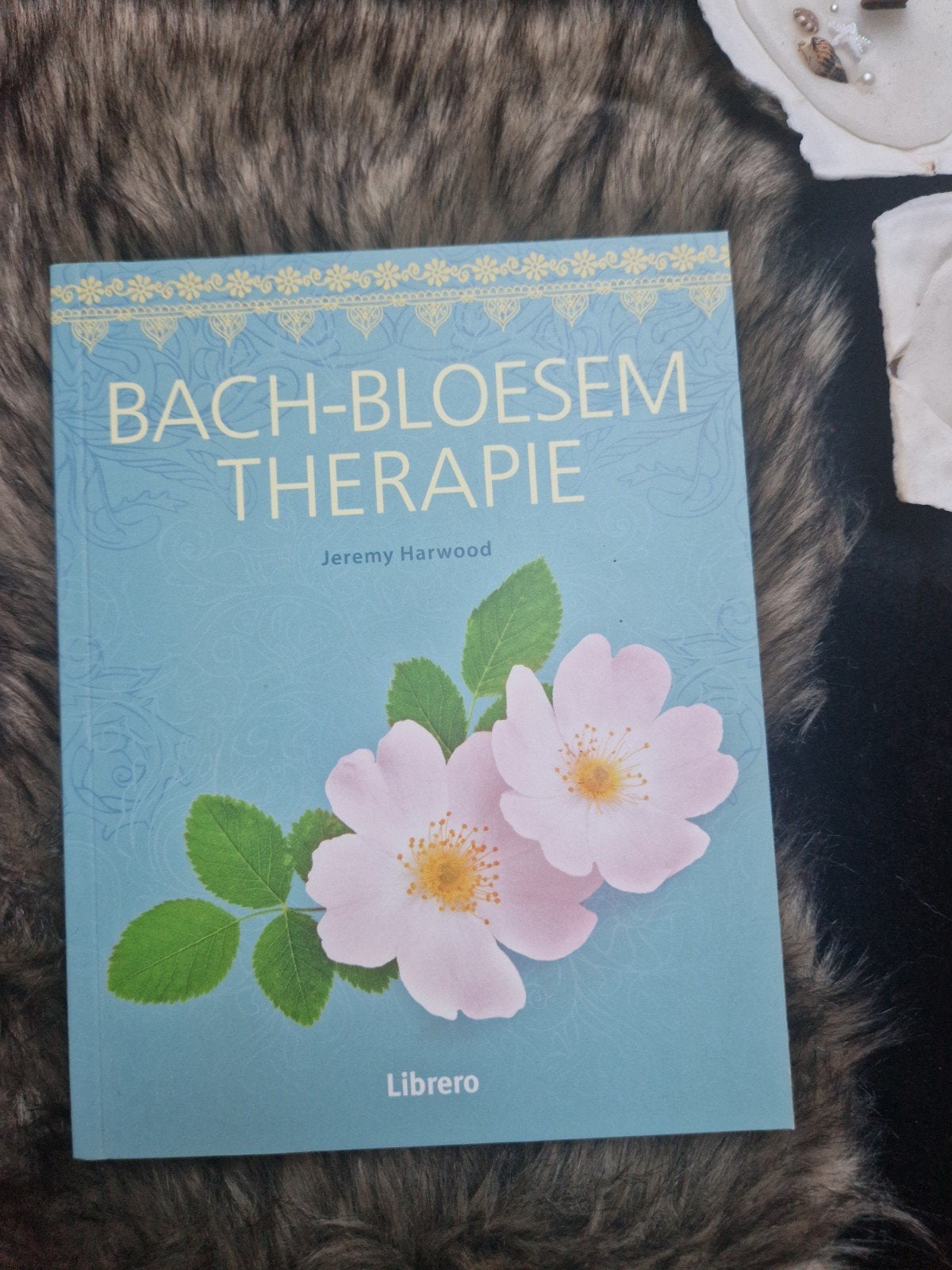 Bach-Bloesem Therapie: Heling met Wilde Bloemen - Jeremy, Ophalen of Verzenden, Instructieboek