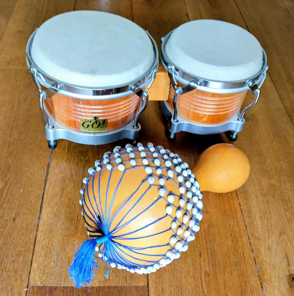 Go! Bongo en Shekere, Muziek en Instrumenten, Ophalen of Verzenden, Gebruikt, Overige soorten