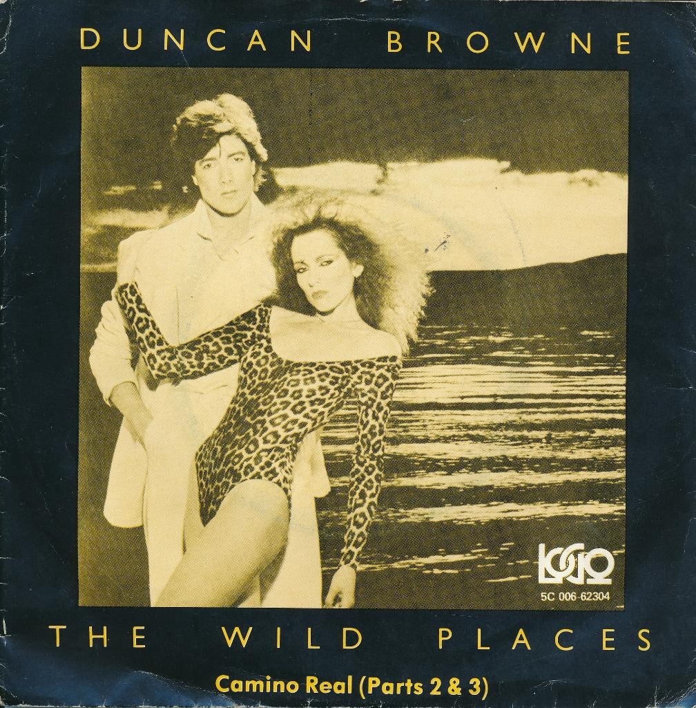 2431 Duncan Browne - The wild places (1978), Cd's en Dvd's, Gebruikt, 7 inch, Single, Ophalen of Verzenden