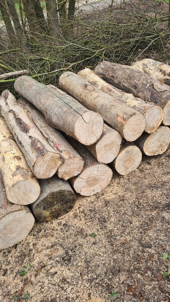 Haardhout, Minder dan 3 m³, Ophalen, Stammen