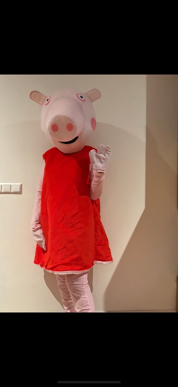 Mascotte peppa pig, Hobby en Vrije tijd, Ophalen of Verzenden, Zo goed als nieuw, Verjaardag