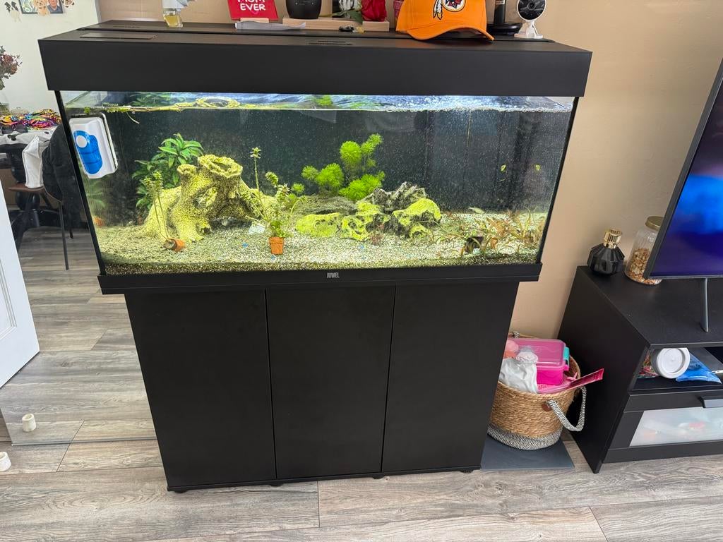 Juwel aquarium, Dieren en Toebehoren, Vissen | Aquaria en Toebehoren, Ophalen, Inclusief toebehoren, Zo goed als nieuw, Overige typen