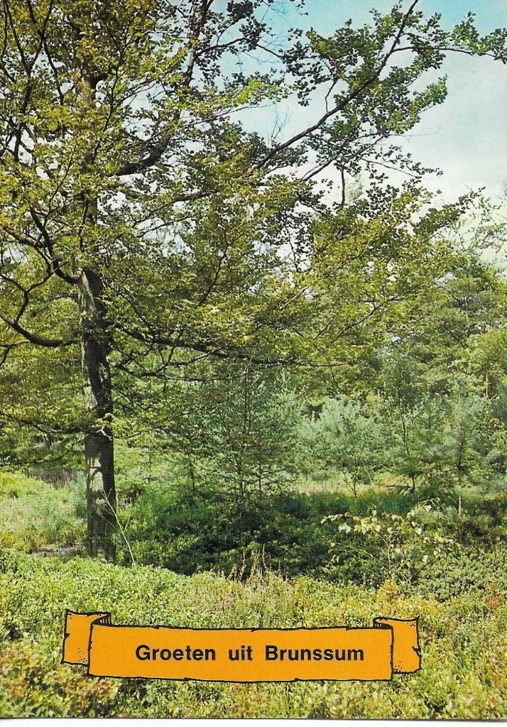 Brunssum- -Landschap., Verzamelen, Ophalen of Verzenden, 1980 tot heden, Ongelopen, Limburg