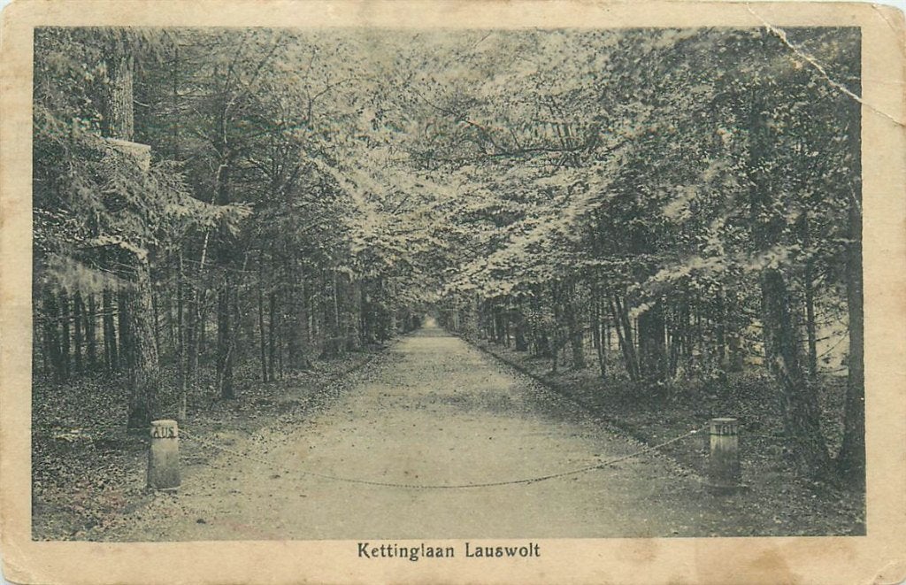 701-322-021 Beetsterzwaag Kettinglaan Lauswolt, Verzamelen, Verzenden, Voor 1920, Friesland