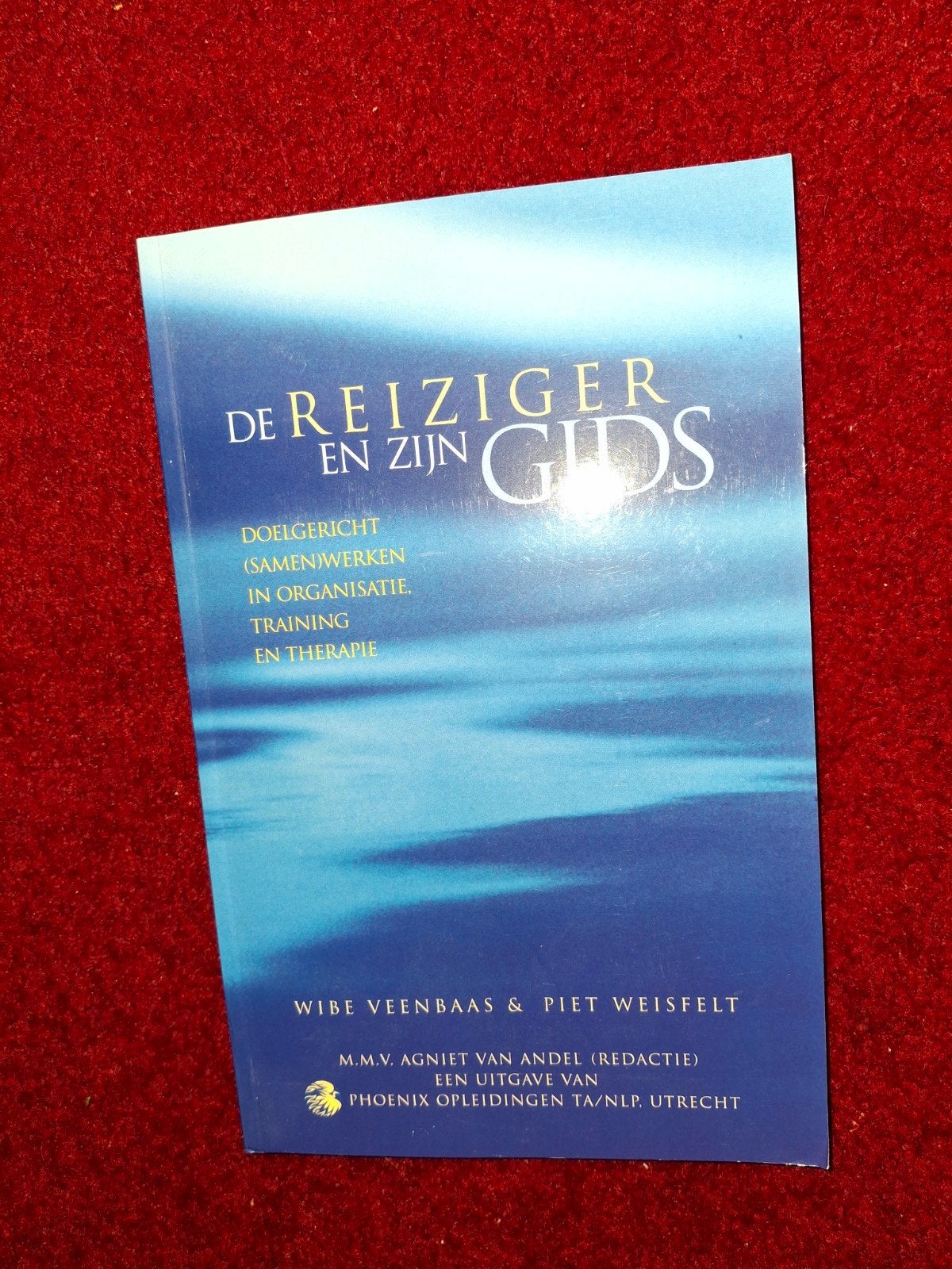 De Reiziger en zijn Gids - Wibe Veenbaas & Piet Weisfelt, Boeken, Ophalen of Verzenden, Nieuw, Wibe Veenbaas & Piet Weisfelt