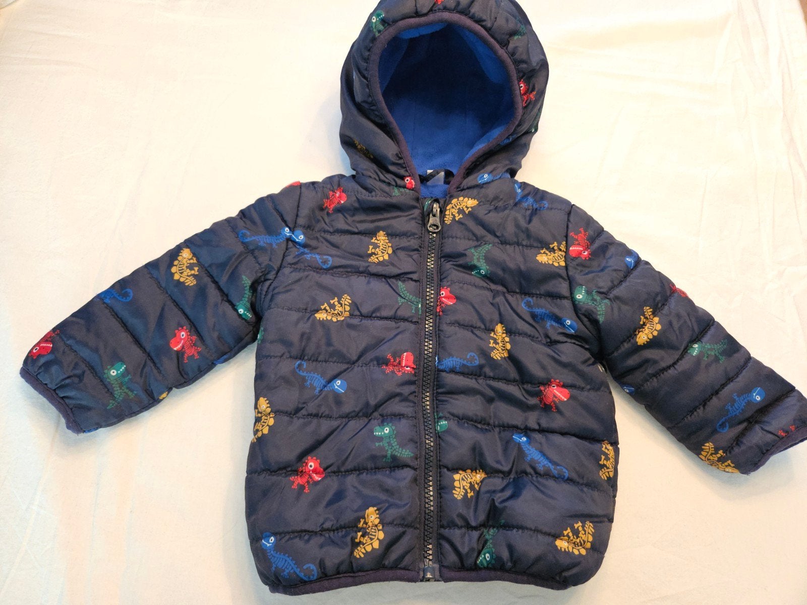 Gewatteerd winterjasje met dino print, maat 74, Kinderen en Baby's, Zeeman, Gebruikt, Jongetje of Meisje, Ophalen of Verzenden