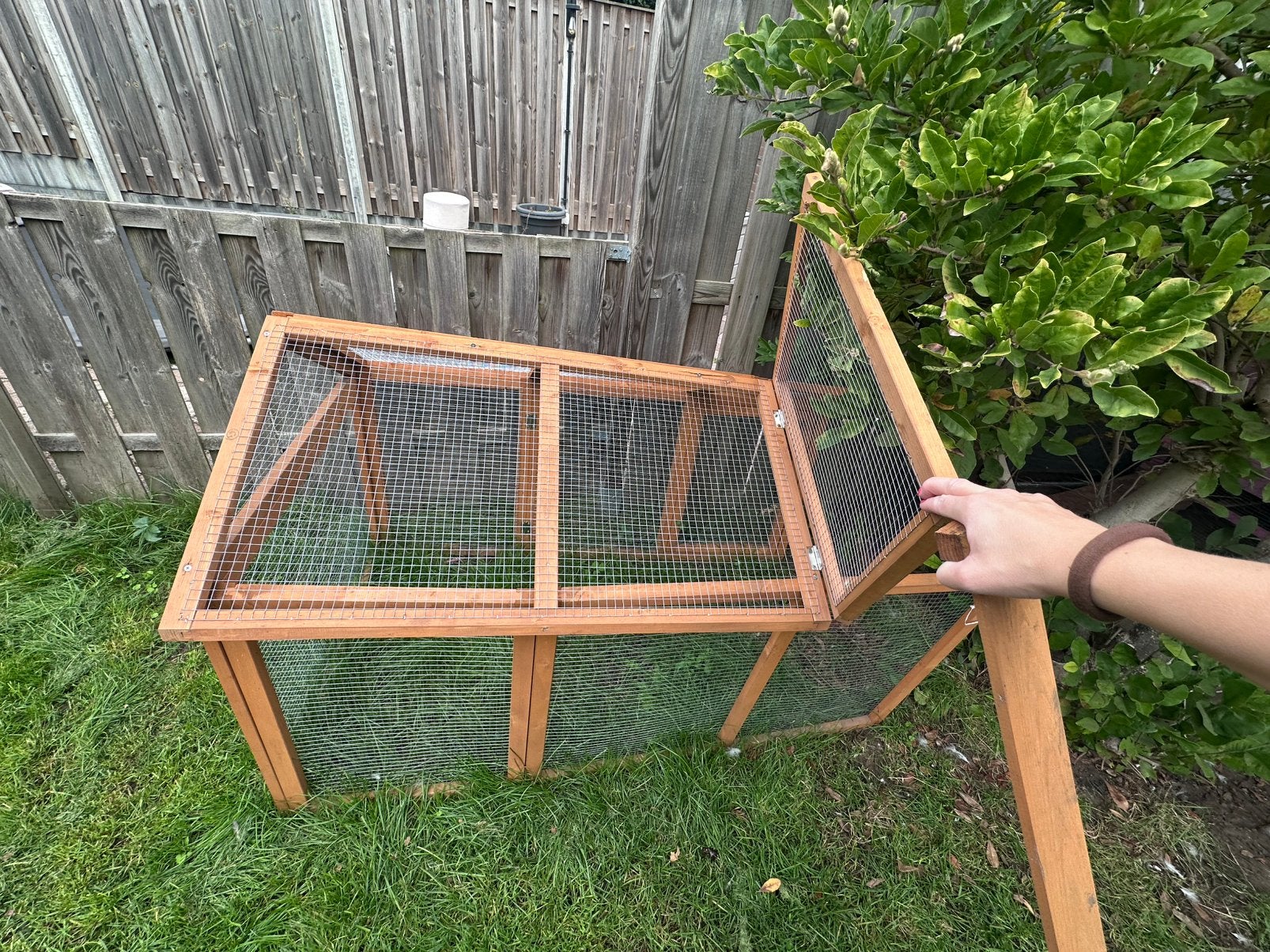 Ren voor een konijn cavia of kuiken, 110 cm of meer, Zo goed als nieuw, Ren, Cavia