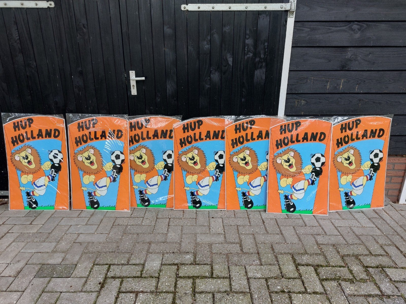 Hup holland voetbal decoratie bord, Ophalen of Verzenden, Overige typen