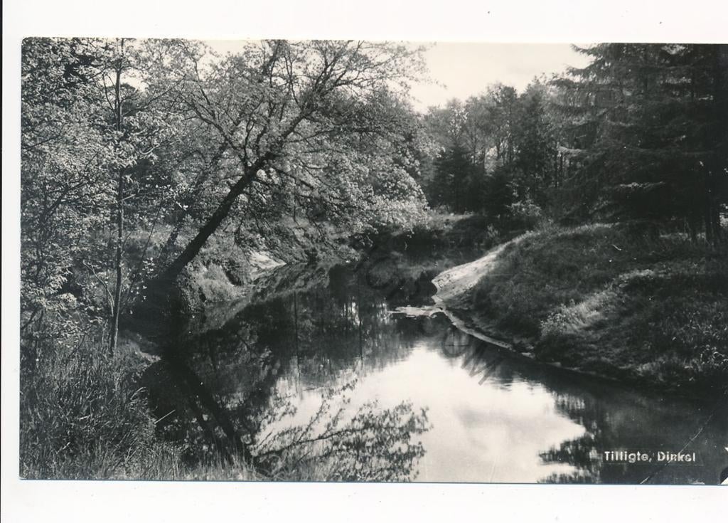 Tilligte - Dinkel [KRST003-5120, Verzenden, 1960 tot 1980, Ongelopen, Overijssel