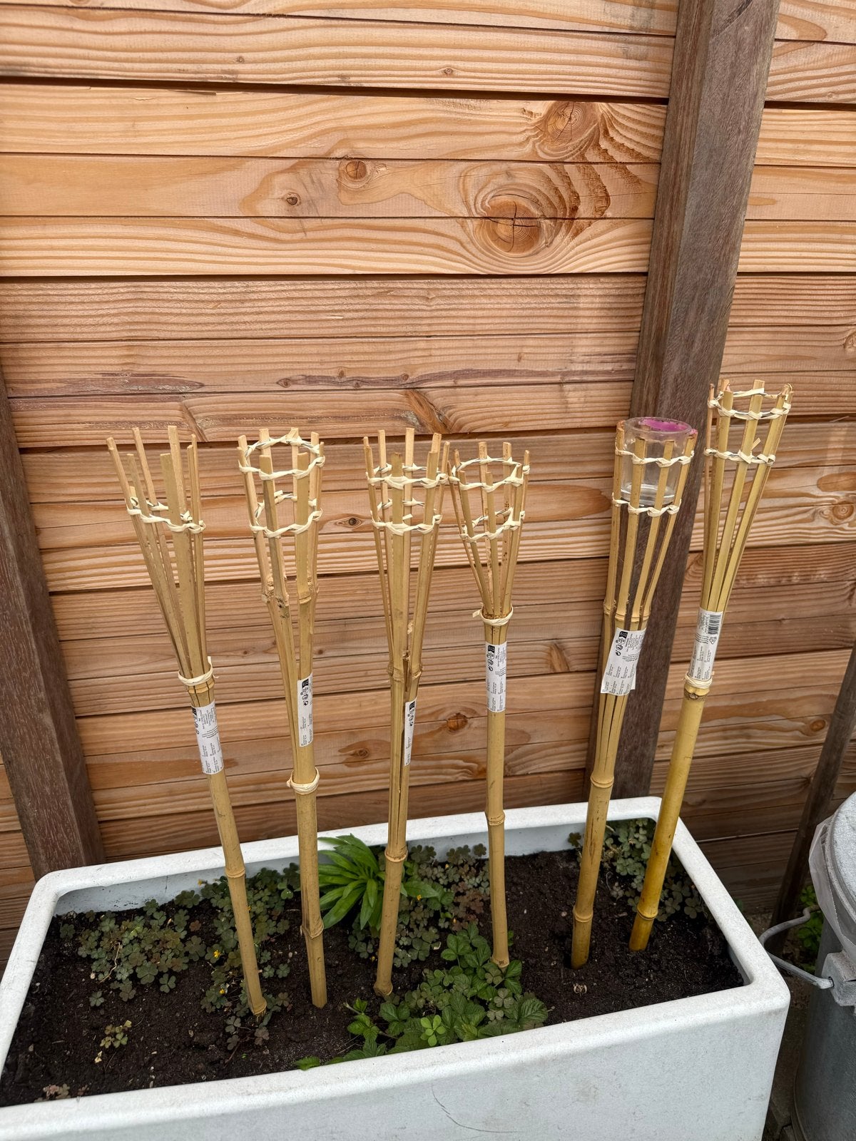 6 ongebruikte bamboe lampion stekers voor de tuin, Ophalen of Verzenden, Nieuw