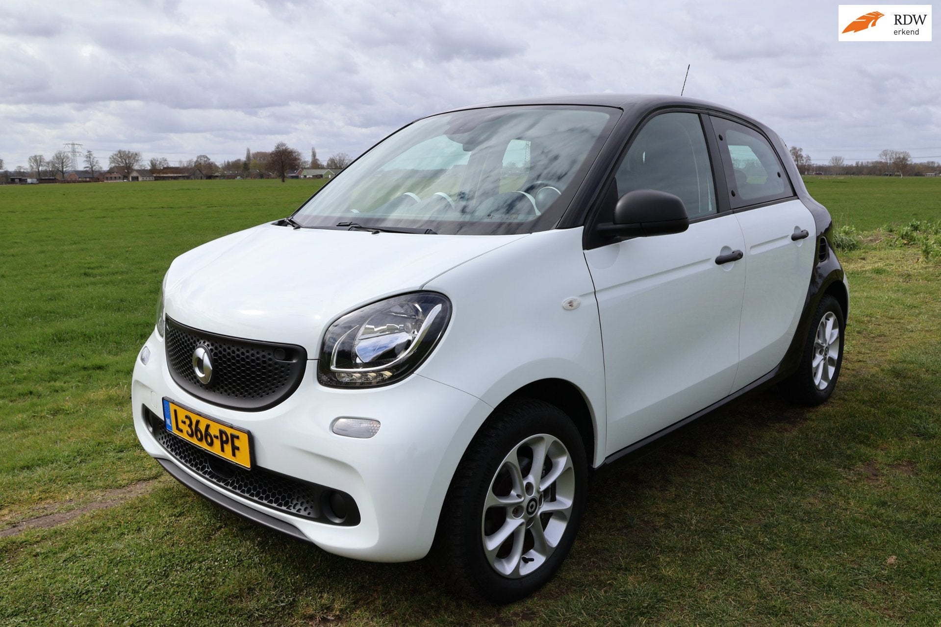 Smart Forfour Electric drive 18 kWh|Nieuwe ACCU!|Carplay|Par, Automaat, Gebruikt, 43 €/maand, Zwart