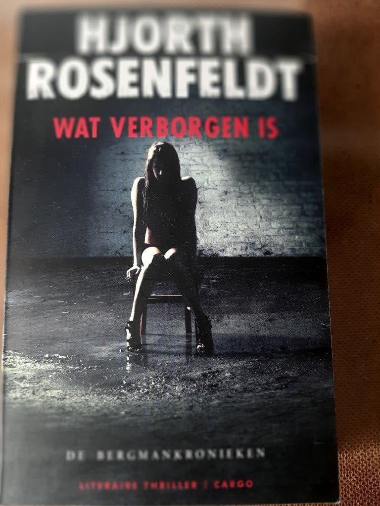 Hjorth Rosenfeldt - Wat verborgen is (De Bergmankronieken), Scandinavië, Ophalen of Verzenden, Zo goed als nieuw, Hjorth Rosenfeldt