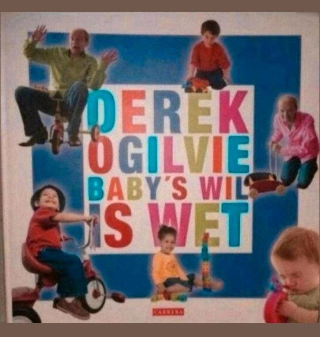 Derek Ogilvie - Baby's Wil Is Wet (Opvoedboek), Boeken, Ophalen of Verzenden, Zo goed als nieuw, Zwangerschap en Bevalling, Derek Ogilvie