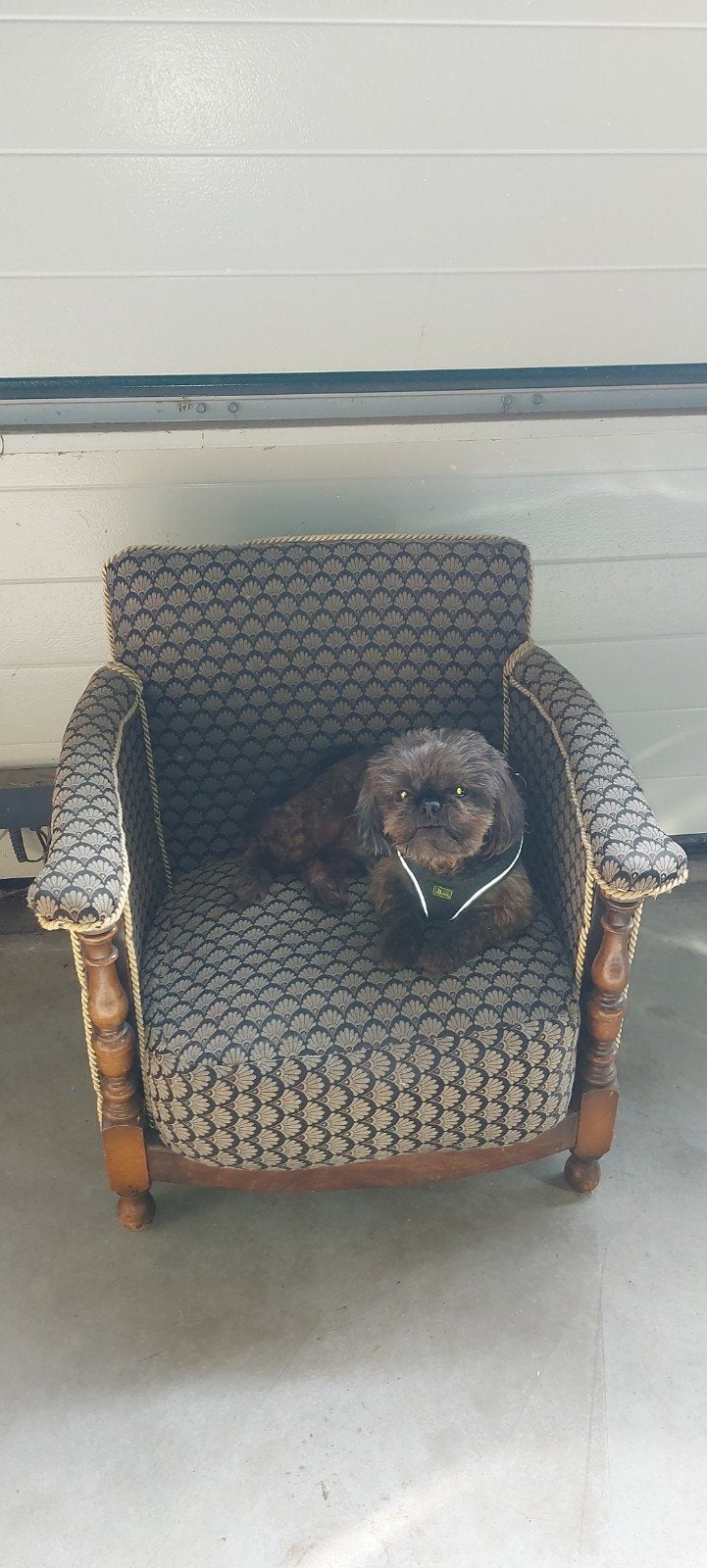 Klassieke honden fauteuil, Hout, Minder dan 50 cm, Gebruikt, Ophalen of Verzenden