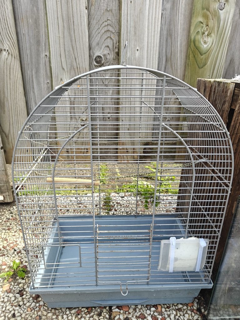 Vogelkooi GRATIS op te halen, Dieren en Toebehoren, Vogels | Hokken en Kooien, Ophalen, Gebruikt, Metaal, Vogelkooi