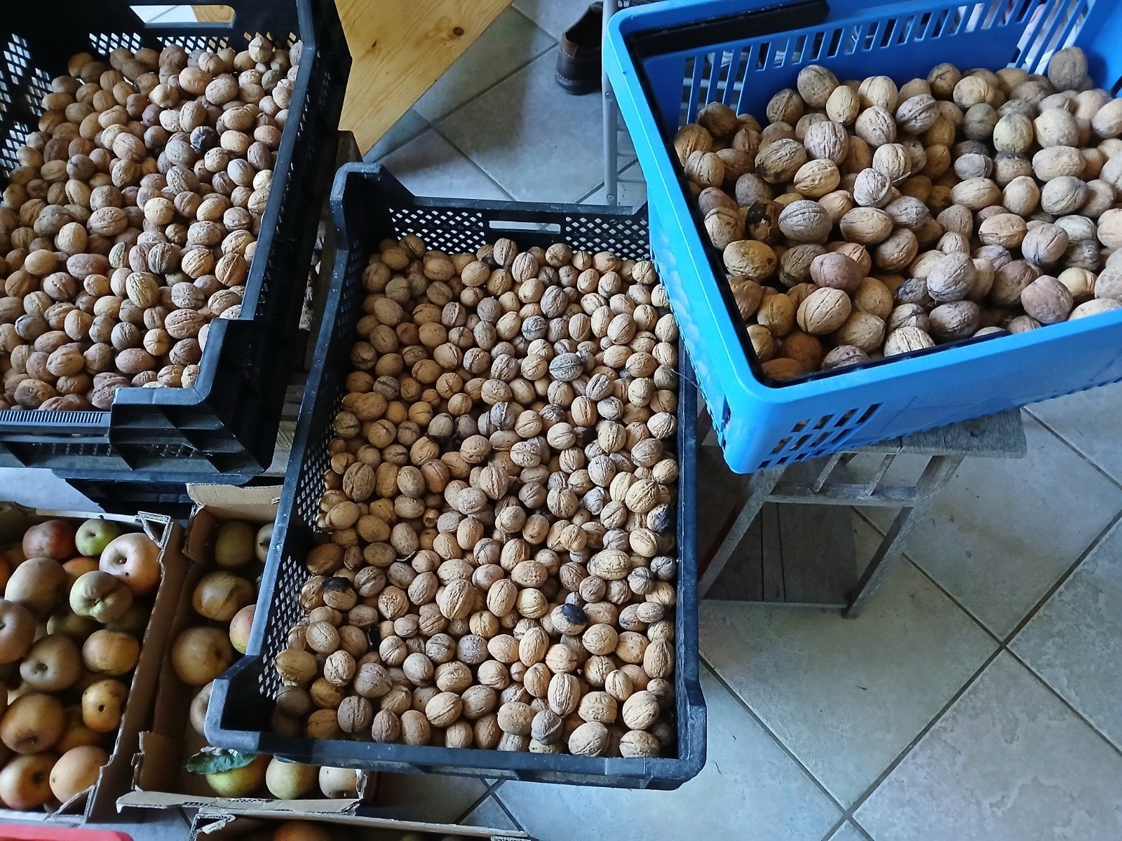 GROTE ONBESPOTEN (BIO) WALNOTEN..30 Kg OKT 2026, T.Z.T MEER., Diversen, Ophalen
