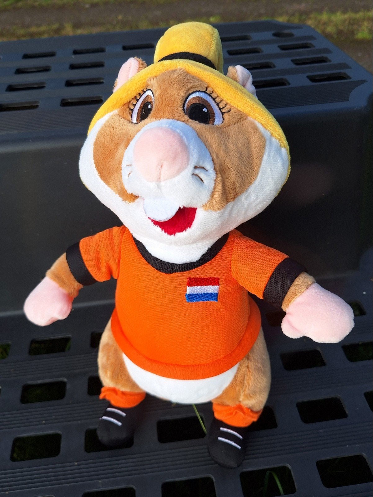 AH Dames Voetbal Hamster, Verzamelen, Supermarktacties, Albert Heijn, Ophalen of Verzenden