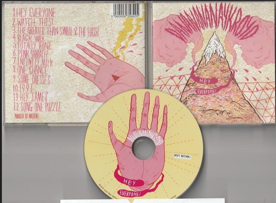 Dananananaykroyd - Hey Everyone!, Cd's en Dvd's, Cd's | Rock, Ophalen of Verzenden, Gebruikt, Indie Rock
