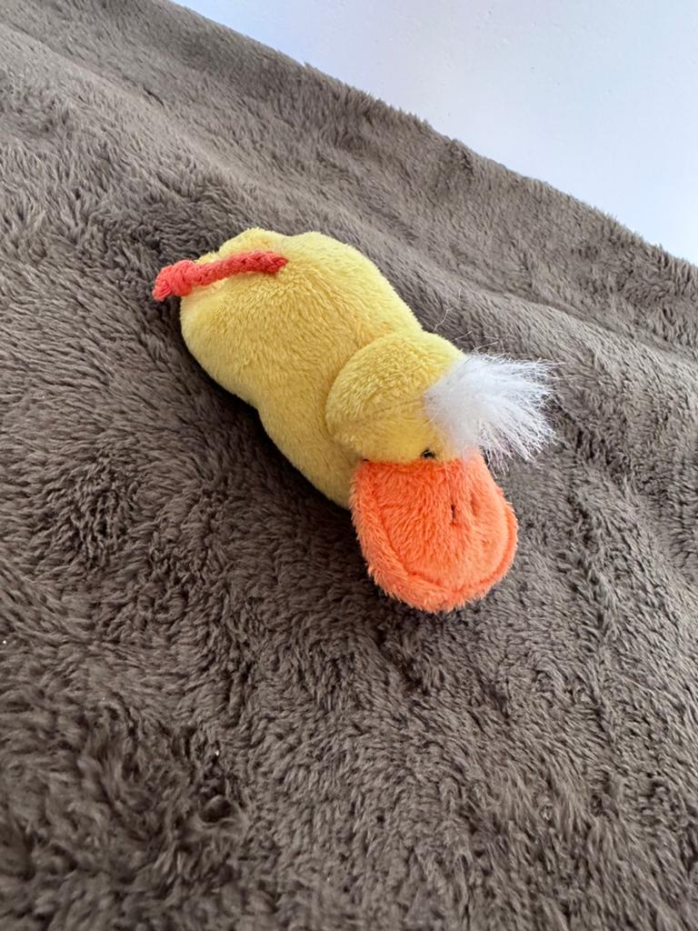 Knuffel met magneet, Geel, Ophalen of Verzenden, Zo goed als nieuw, Eend