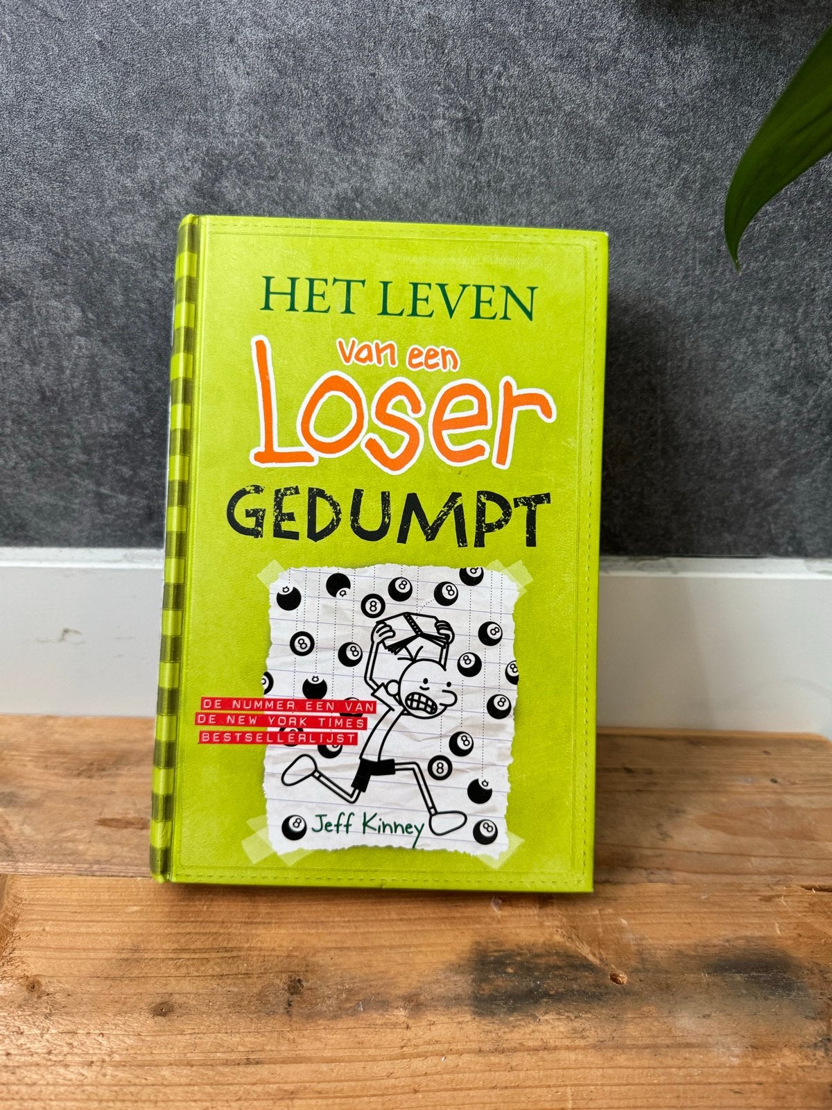 Het leven van een Loser: Gedumpt - Nieuwstaat, Ophalen of Verzenden, Zo goed als nieuw, Fictie