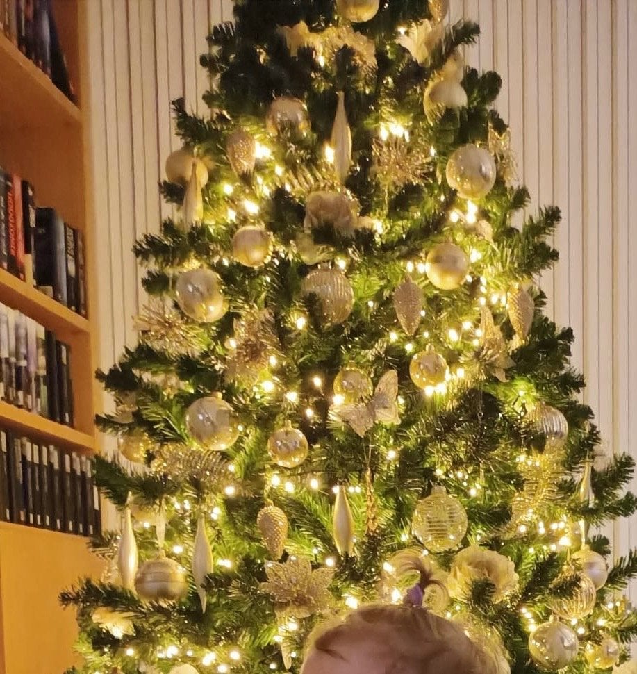 Kerstboom, Ophalen