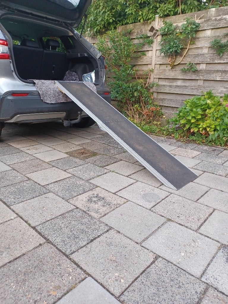 Hondenloopplank opvouwbaar large 183cm, Dieren en Toebehoren, Ophalen of Verzenden, Gebruikt