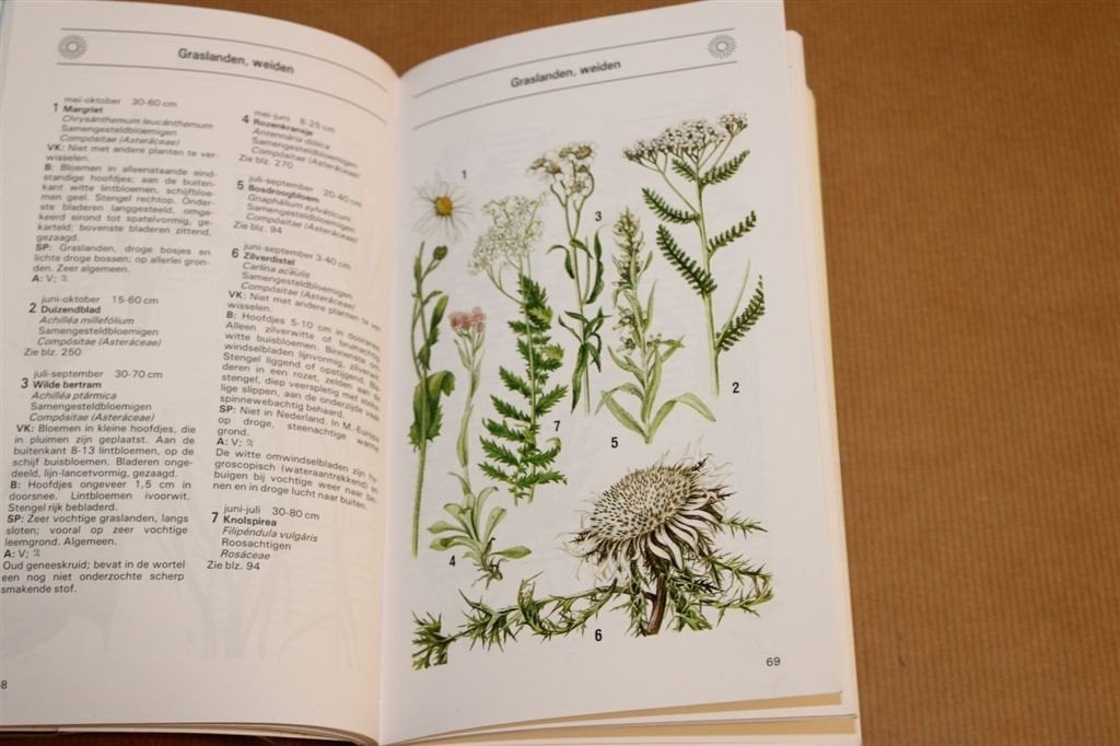 Wat Bloeit Daar? [1988] — Plantengids West-Europa, Boeken, Natuur, Ophalen of Verzenden, Gelezen
