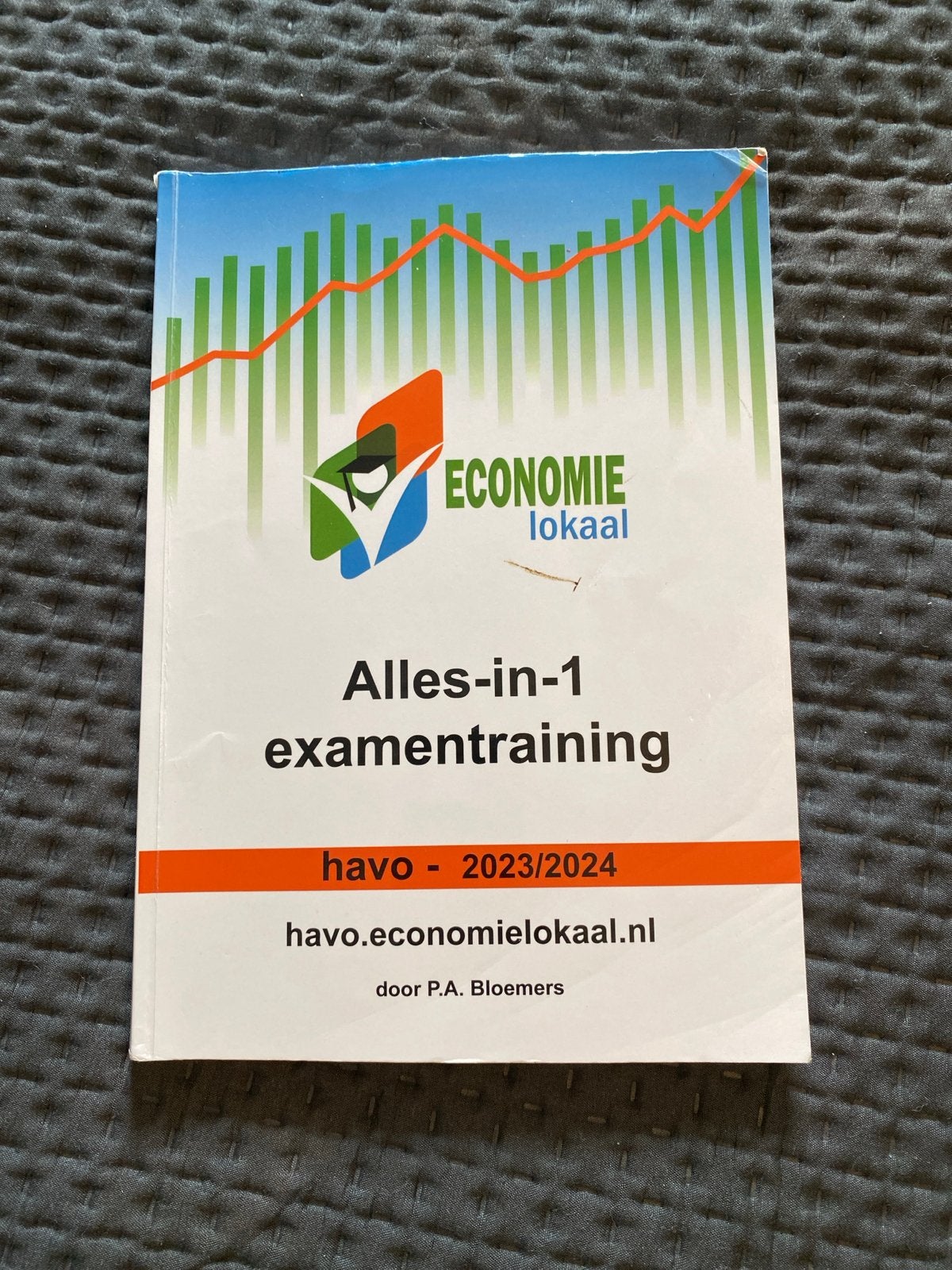 Economie Lokaal Havo Examentraining 2023/2024, Ophalen, Gamma, Zo goed als nieuw, HBO