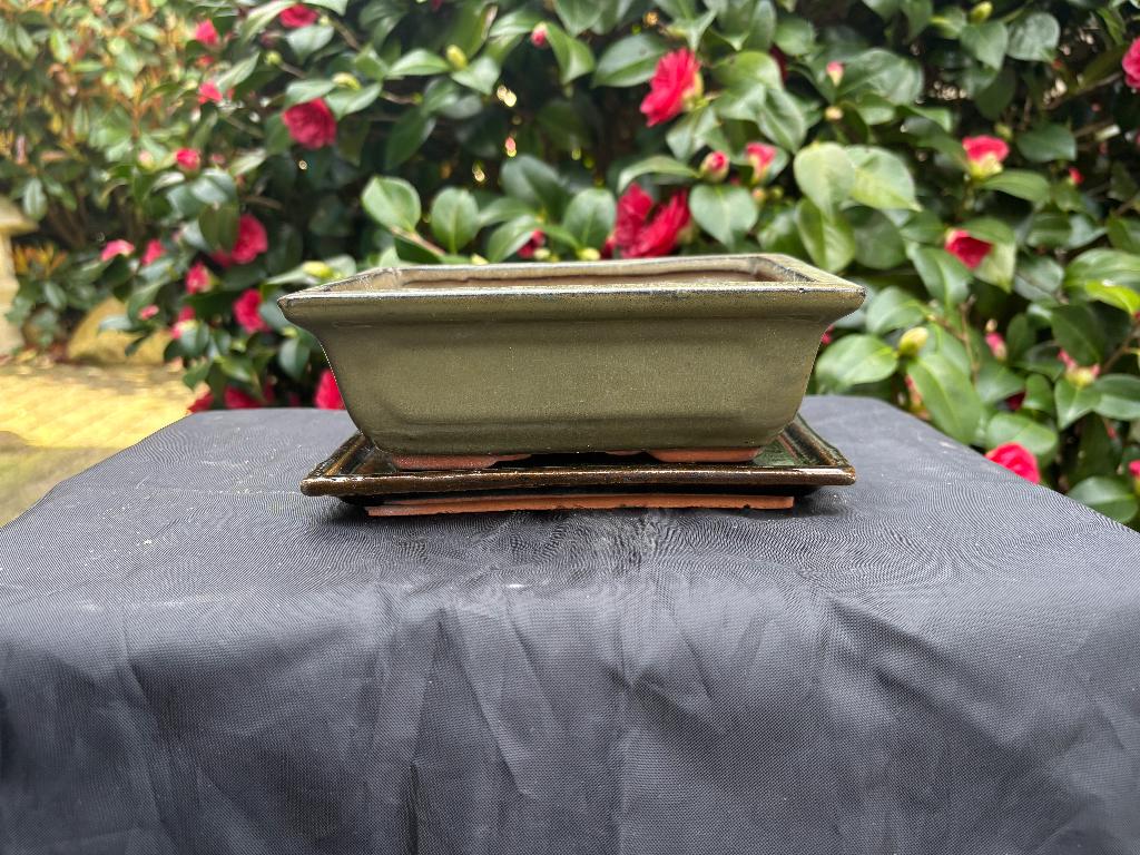 Bonsai Schaal , Set 16, Ophalen, Gebruikt, Overige vormen, Aardewerk