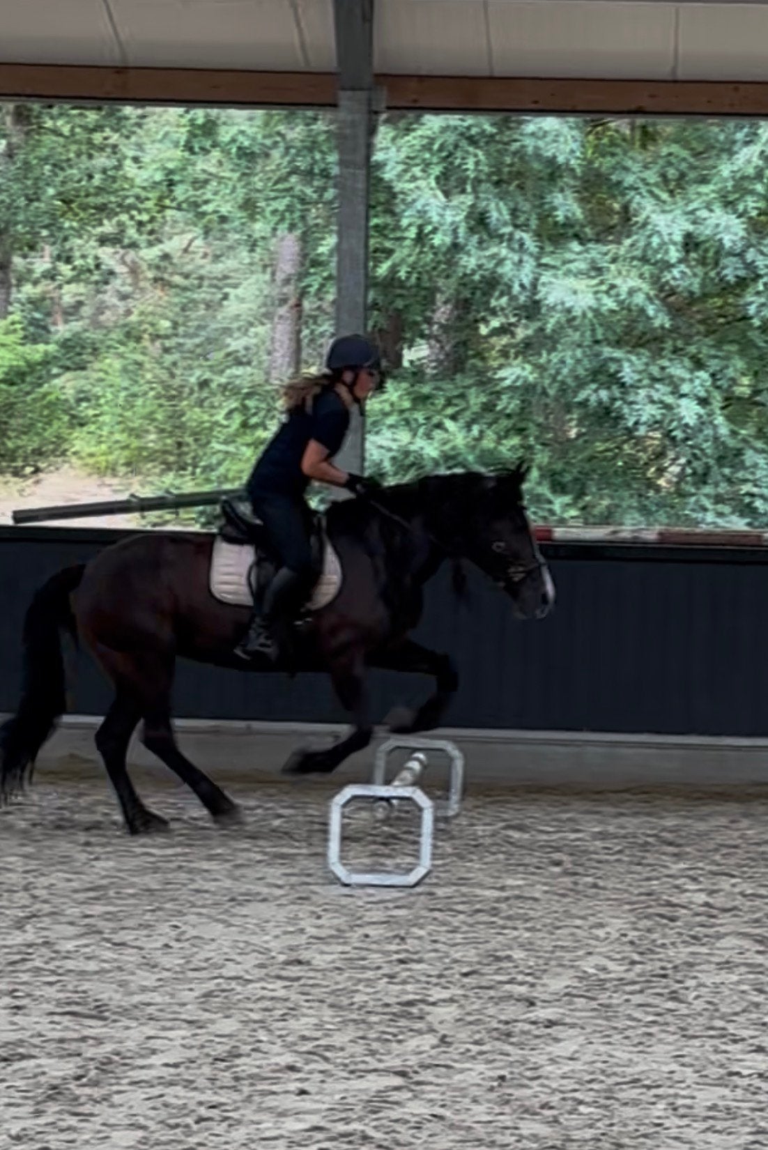 Verzorg pony/paard, Ophalen of Verzenden, Zo goed als nieuw