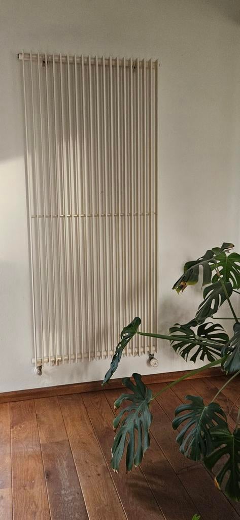 Vasco design radiatoren 4 stuks, Ophalen, Minder dan 60 cm, Radiator, 80 cm of meer