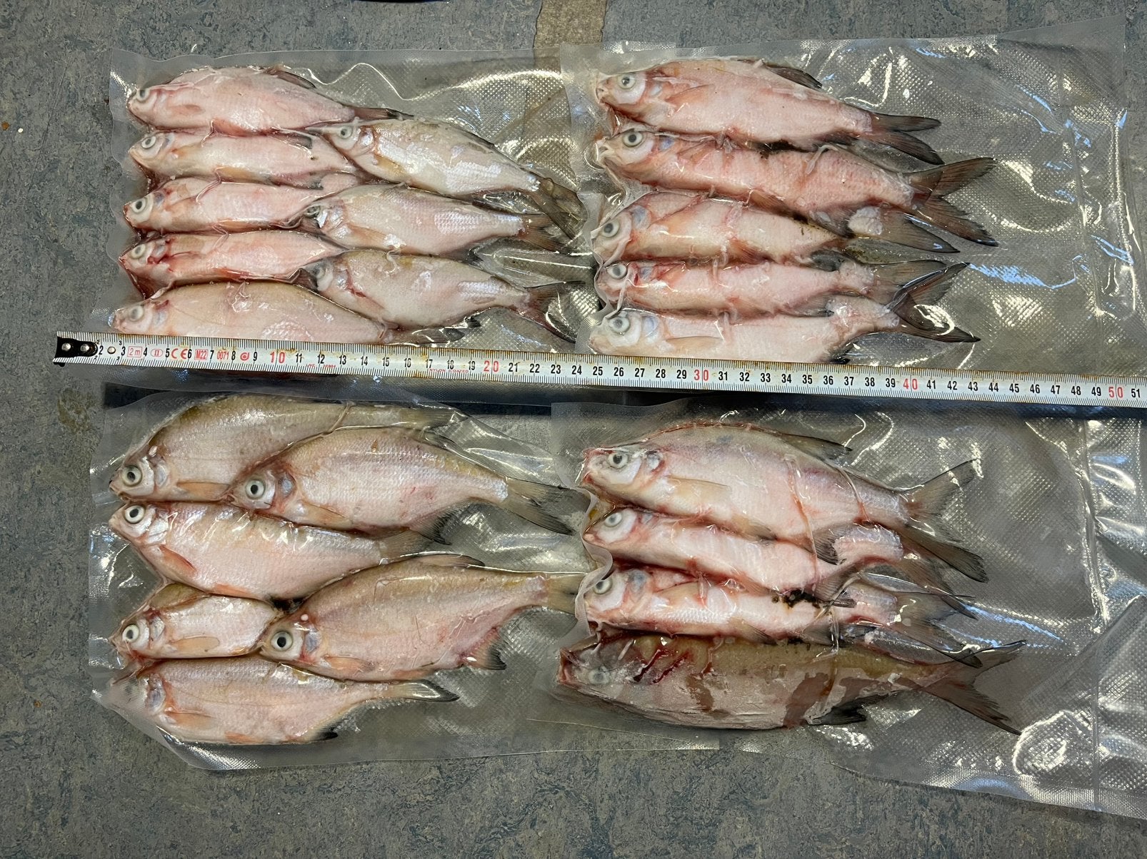 Doodaas / Aasvissen (Snoek & Snoekbaars) | Vacuüm Verpakt, Ophalen, Nieuw, Overige typen