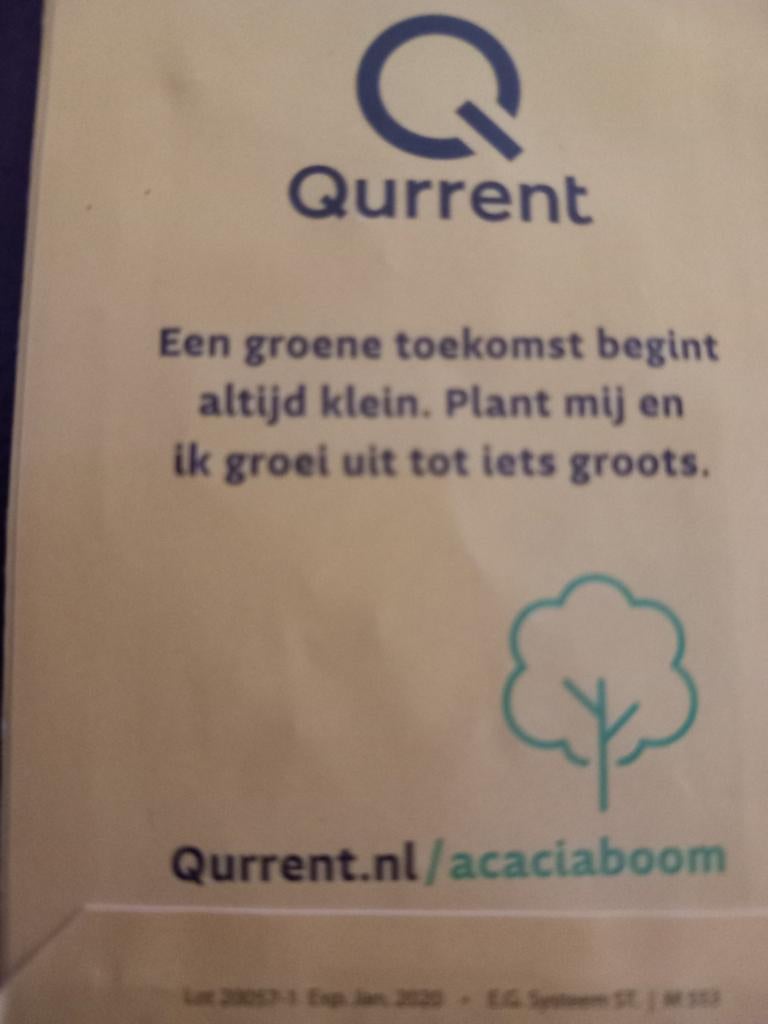 Valse Acaciaboom Zaadjes - CO2-compensatie zakje, Ophalen of Verzenden, Voorjaar, Volle zon, Zaad