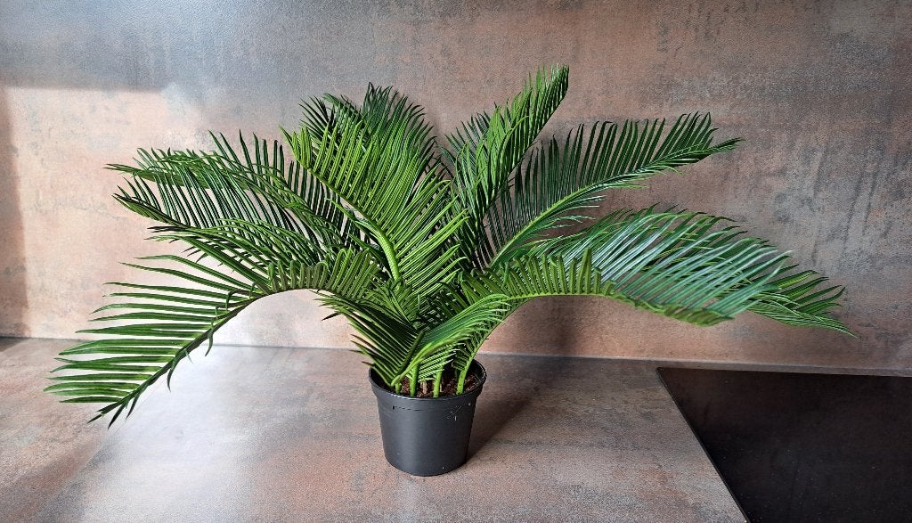 Cycas palm varen kunstplant (NIEUW), Groen, 30 cm, Kunstplant, Nieuw